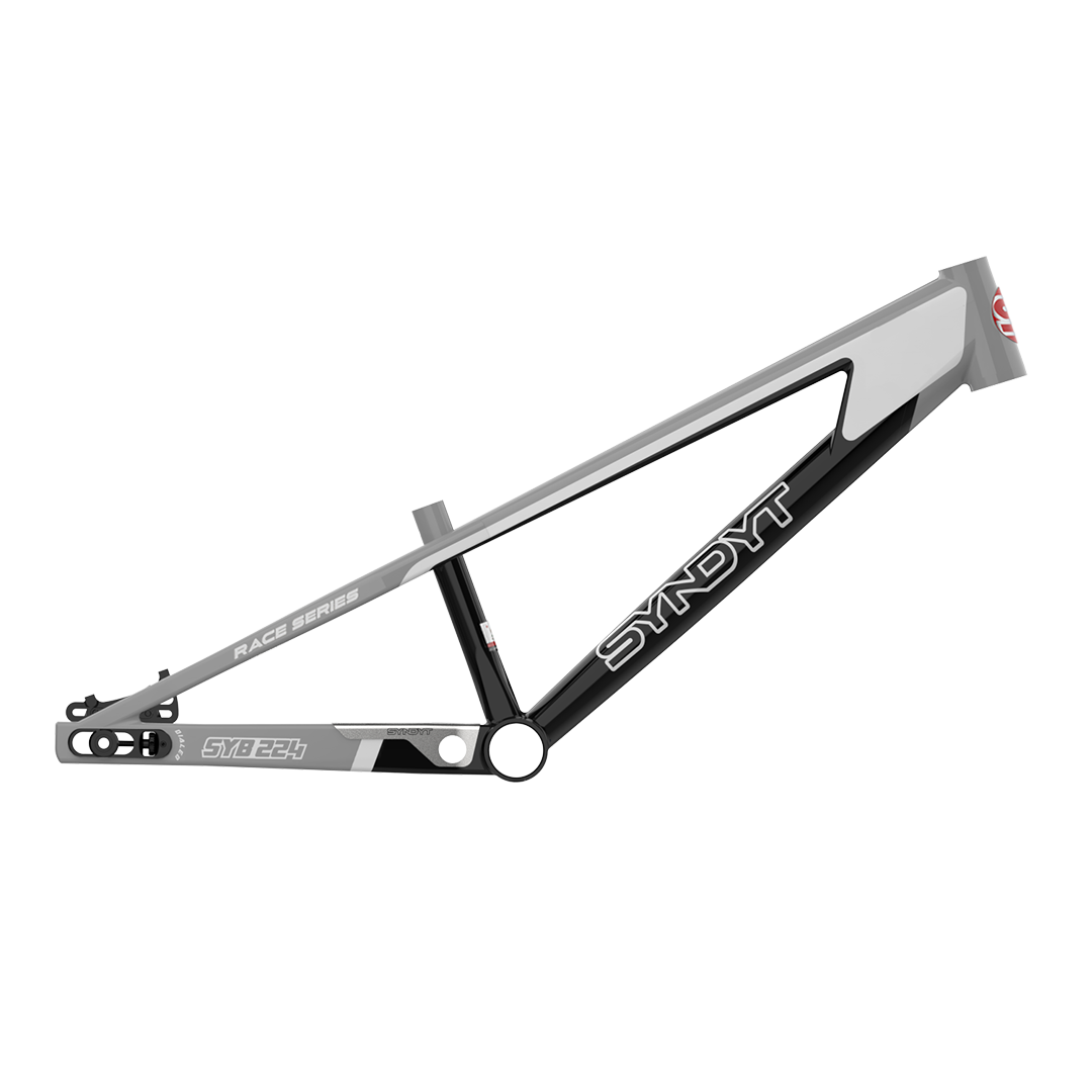 SYB 224: 22” TT Pro 24 XL BMX Frame
